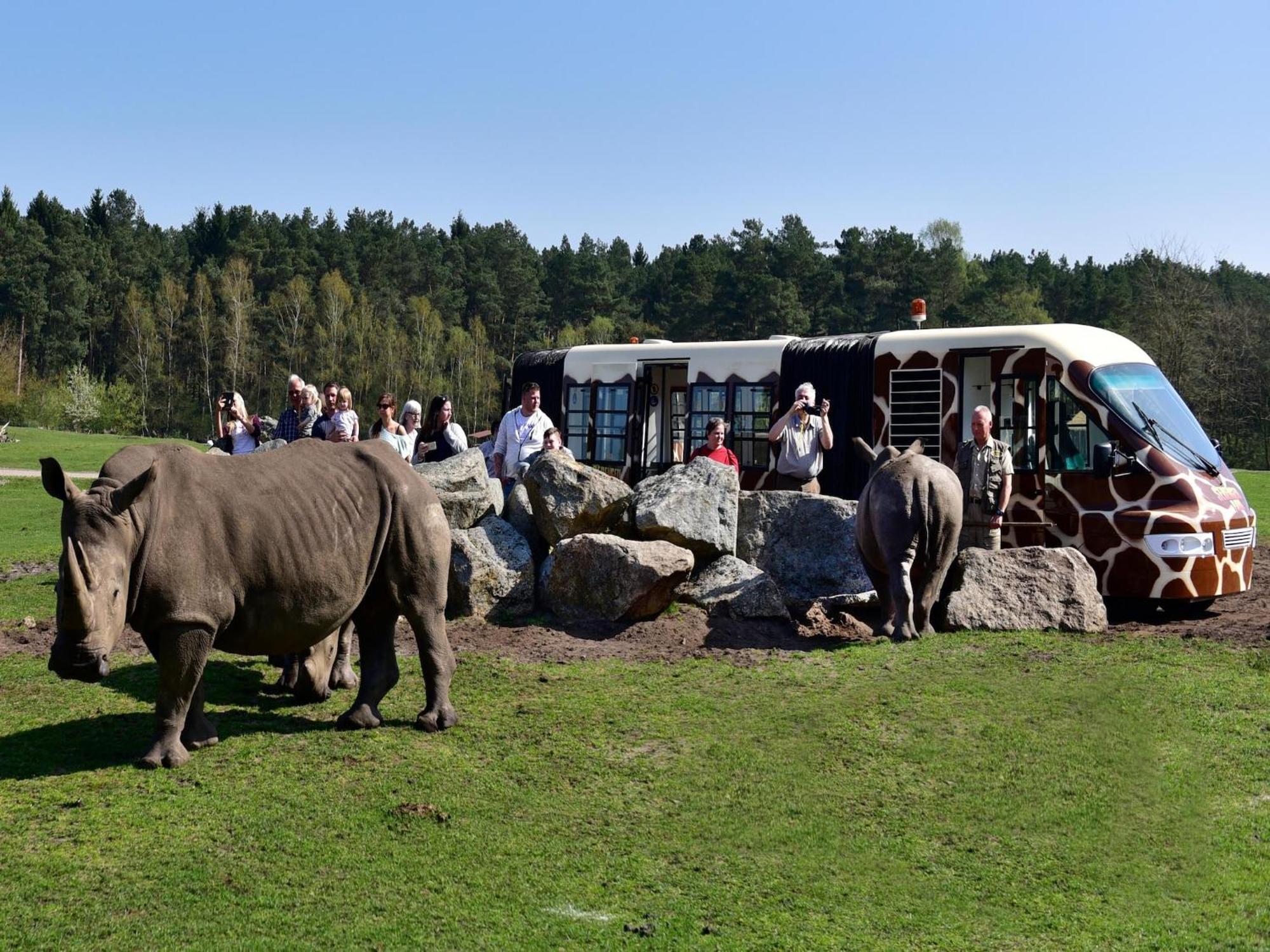 Zelte Im Safari Park